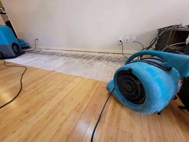 Professional Basement Flood Cleanup technician working in Cedarpines Park, CA